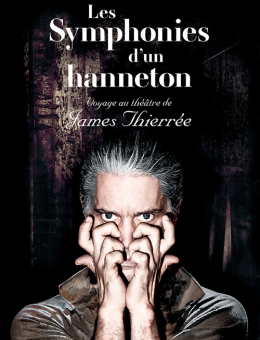 Les symphonies d'un hanneton